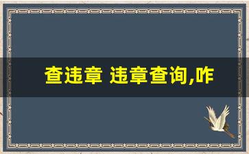 查违章 违章查询,咋查车辆有没有违章